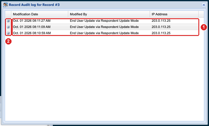 Record Audit log window listing three changes, with the plus buttons highlighted