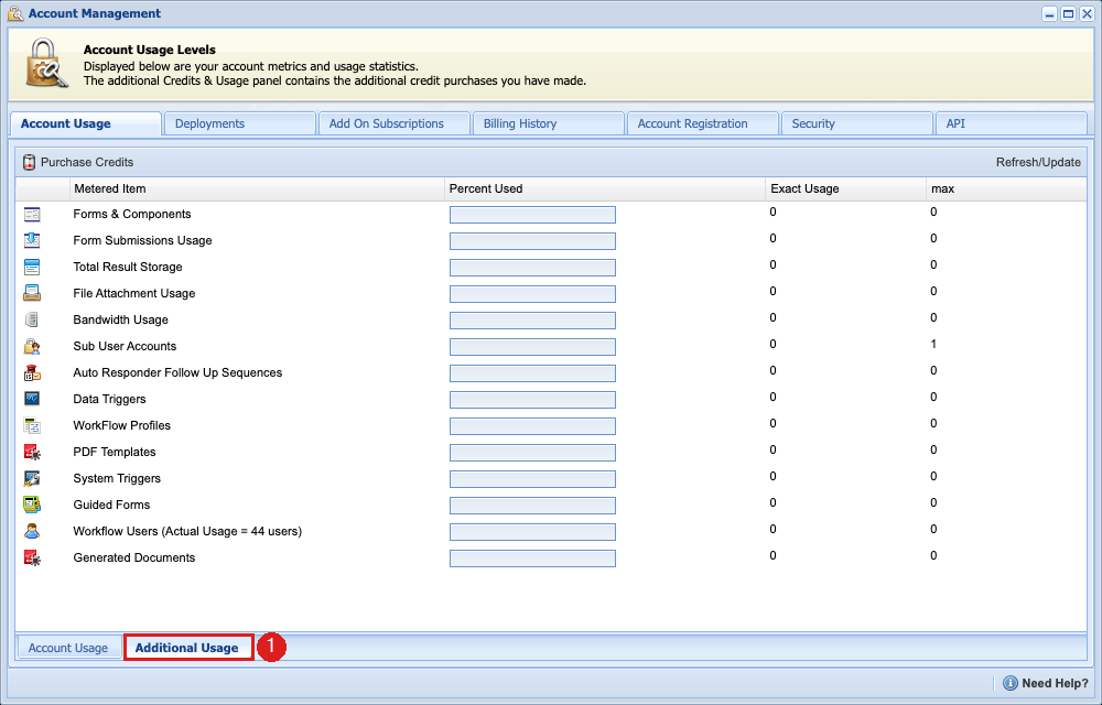 Additional Usage tab (1) showing purchased credits